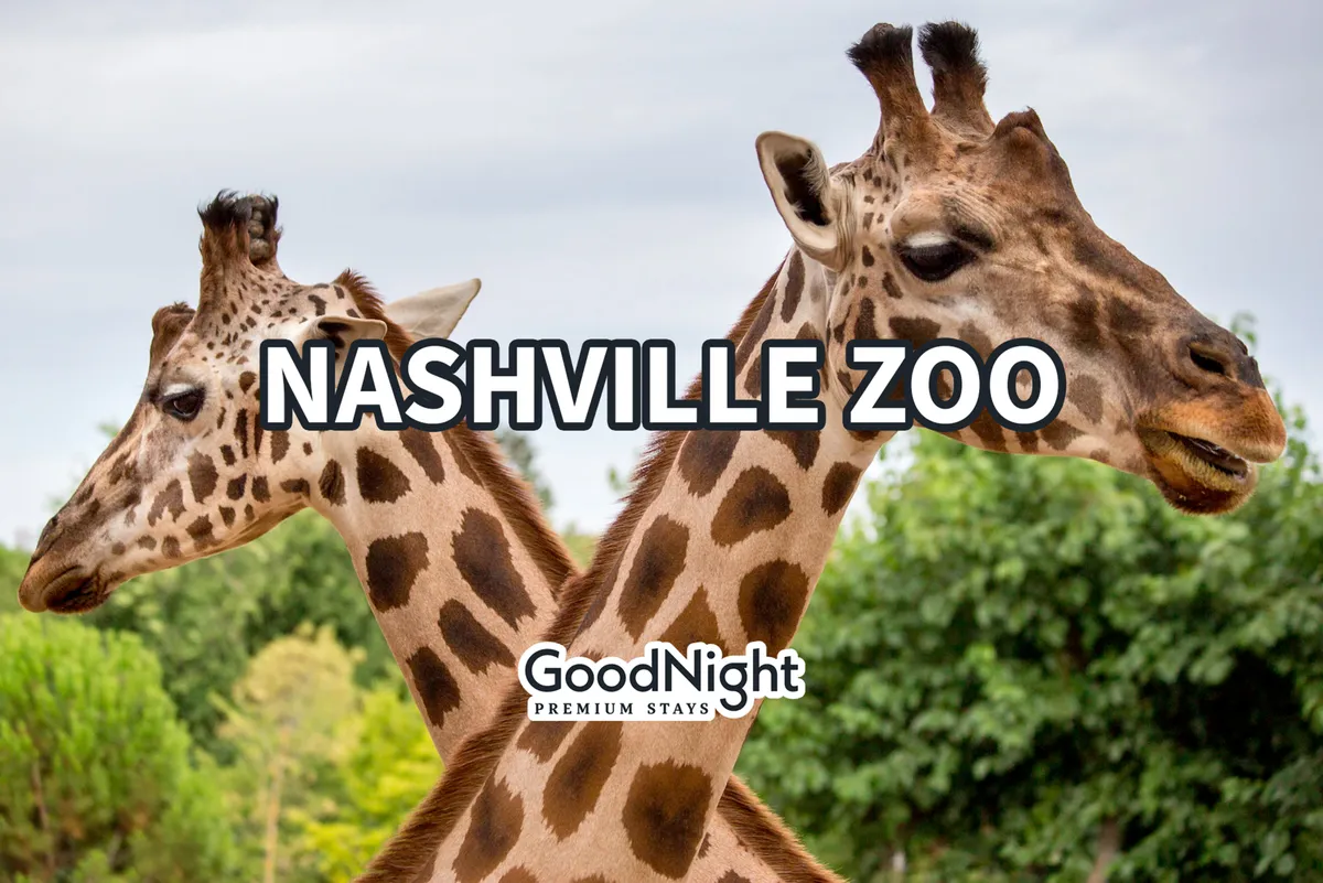 A joyful scene at the zoo with giraffes and lush greenery. Family groups and children are visible, interacting with or observing the animals, capturing a sense of wonder and educational fun. The environment feels safe and inviting for families of all ages.